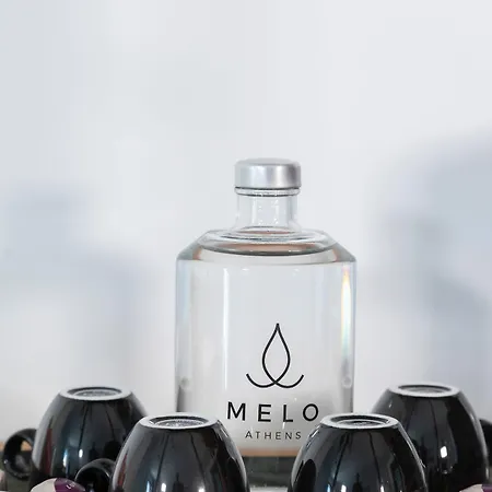 Отель Melo